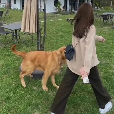 暗月传说